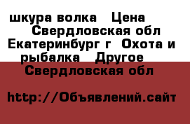 шкура волка › Цена ­ 2 000 - Свердловская обл., Екатеринбург г. Охота и рыбалка » Другое   . Свердловская обл.